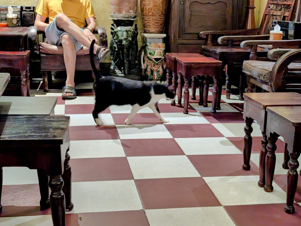 NAM house Cafe