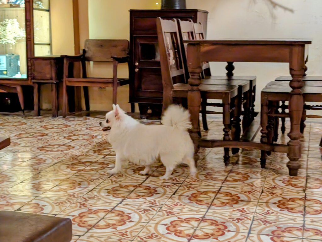 Ngọt Cafe