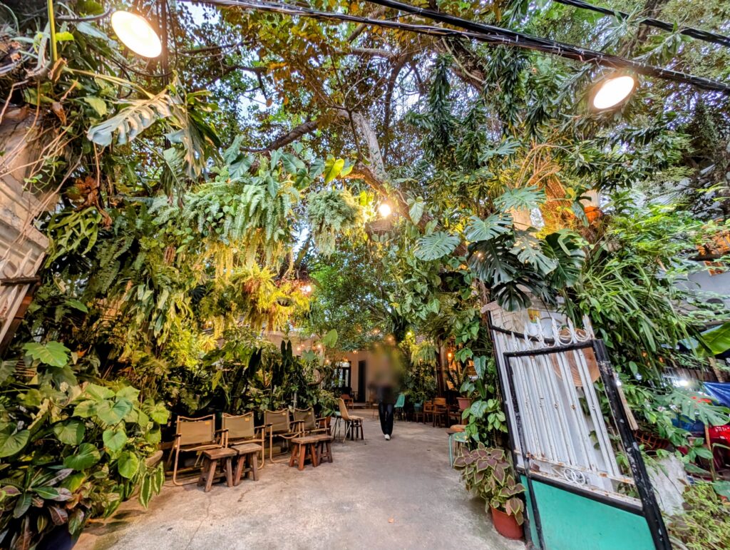 Nối Café